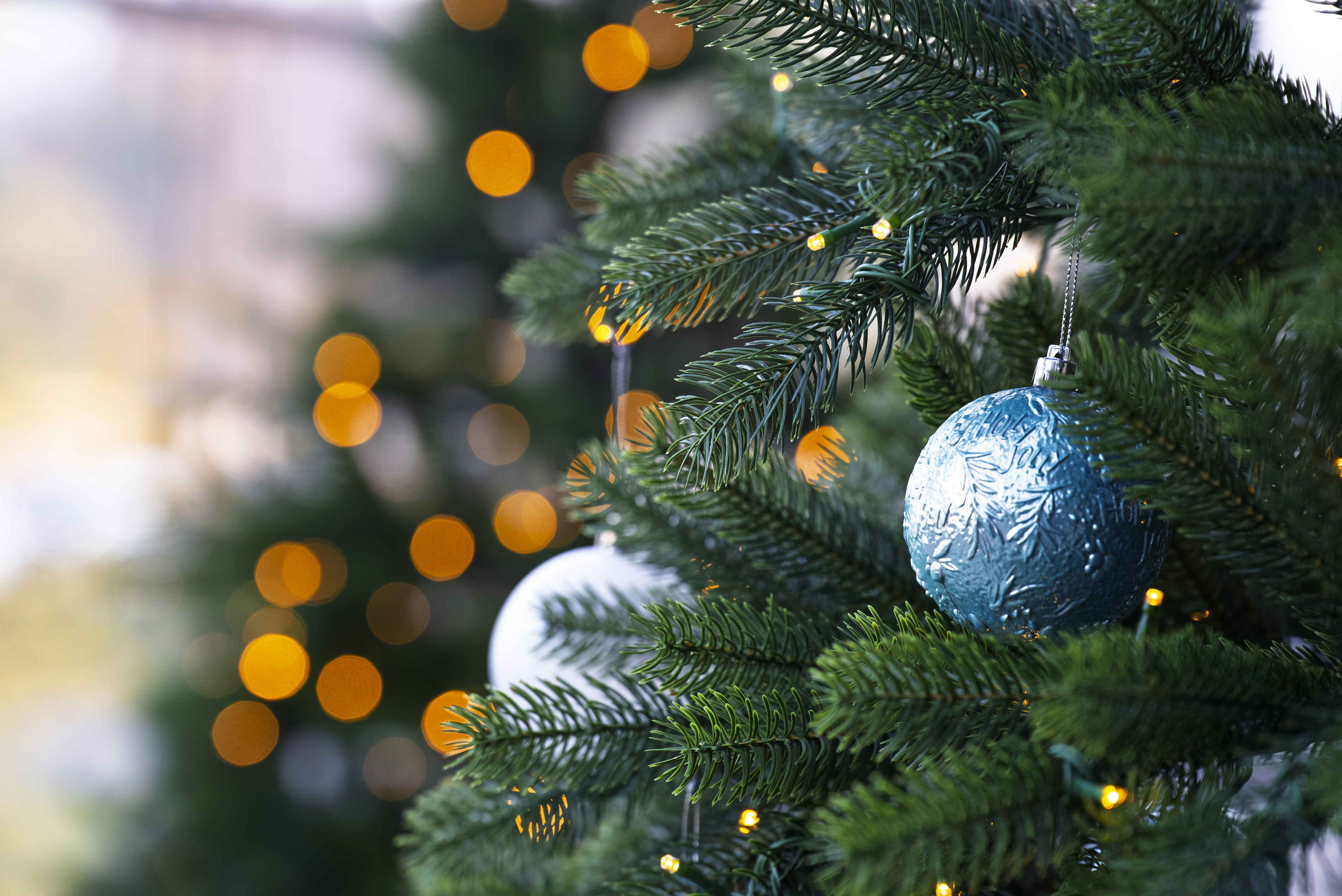 Was ist Ihr Wunsch an die CDU Espelkamp?